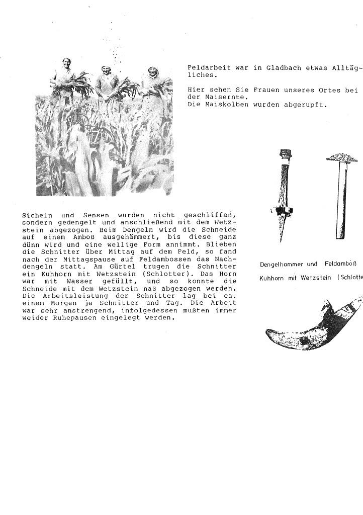 202207011017471024_1