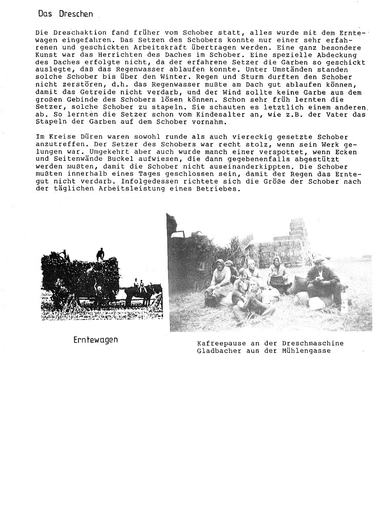 202207011017471024_3