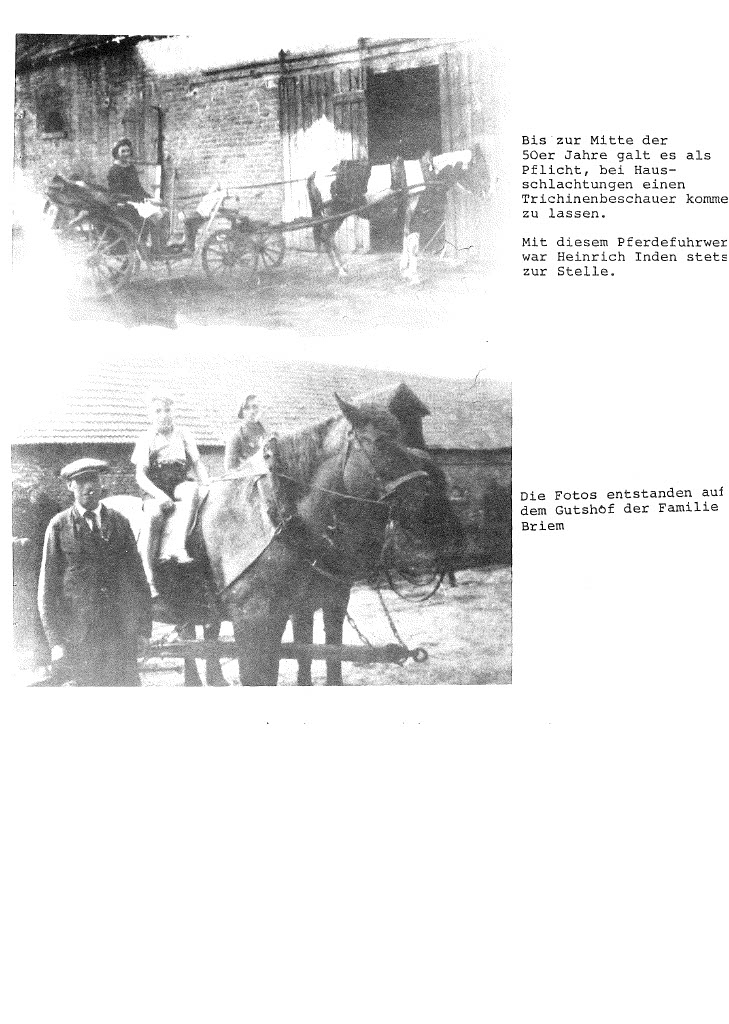 202207011020481024_4