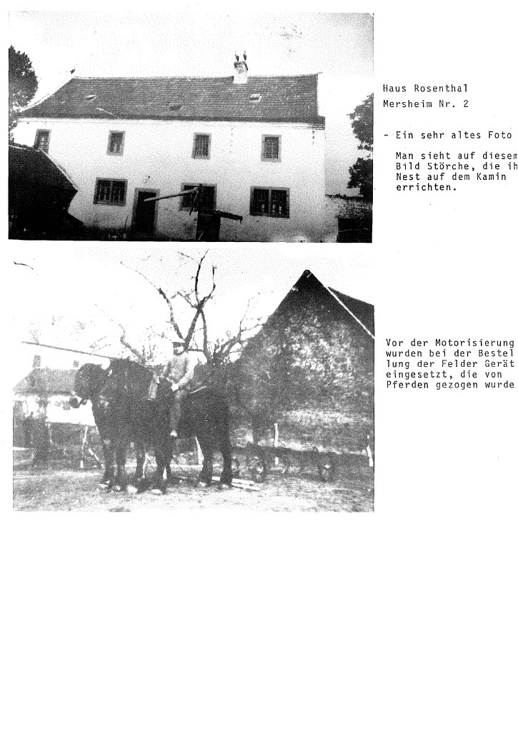 202207011020481024_9