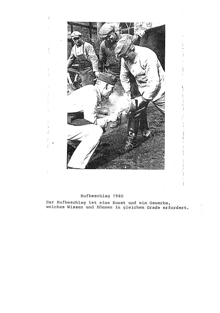 202207011119481024_11