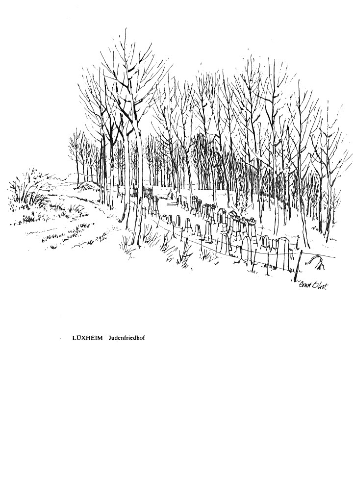 202207011129561024_26