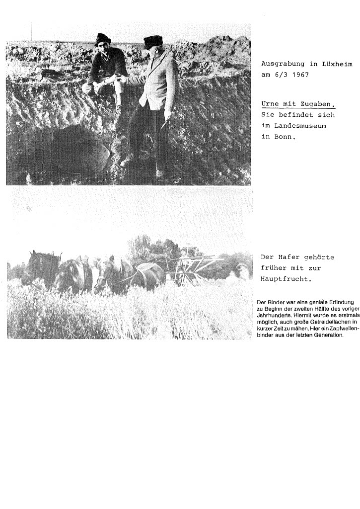 202207011129561024_3