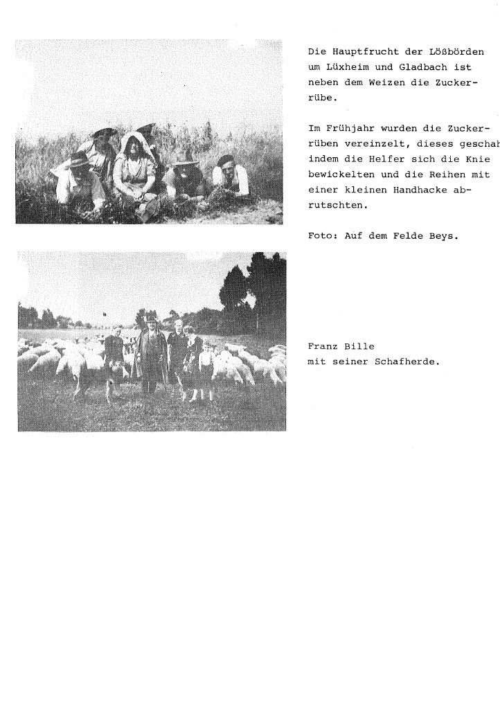 202207011129561024_6